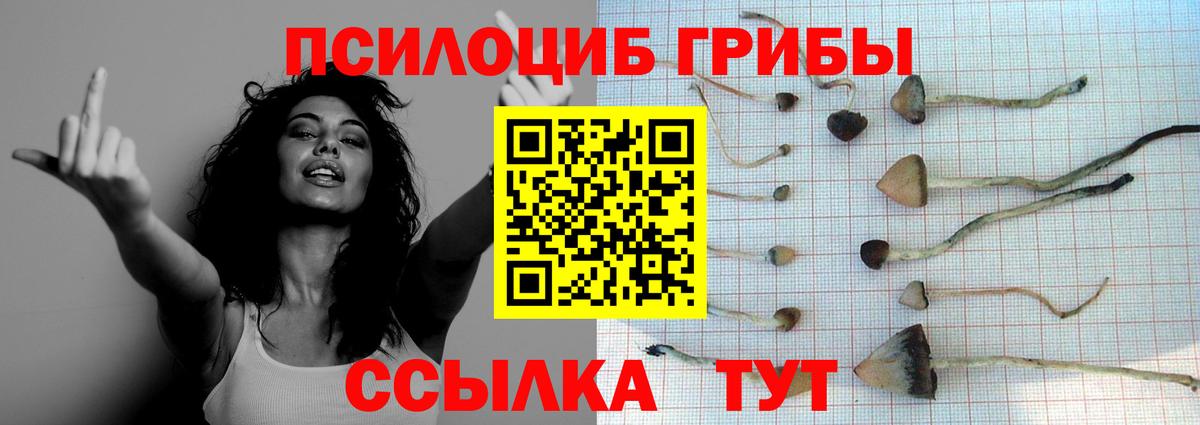 Сургут  где продают   Вход с VPN  Псилоцибиновые грибы GOLDEN TEACHER 